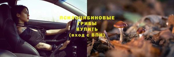 молекула духа Покров
