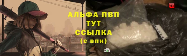 ПСИЛОЦИБИНОВЫЕ ГРИБЫ Покровск