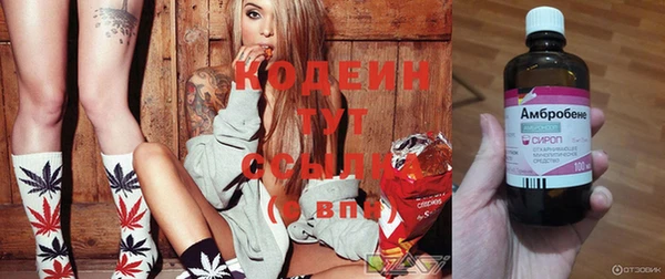 молекула духа Покров
