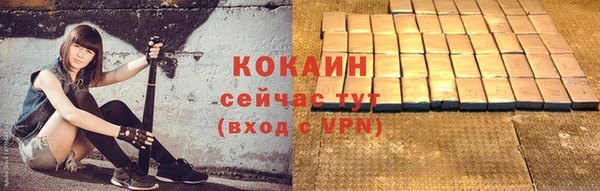 СК Покачи