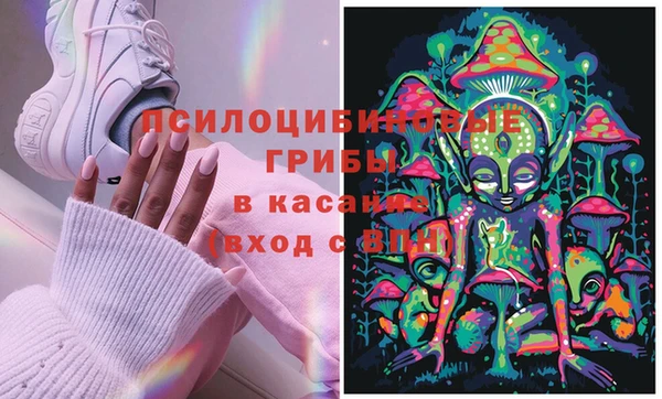 СК Покачи