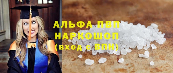 СК Покачи