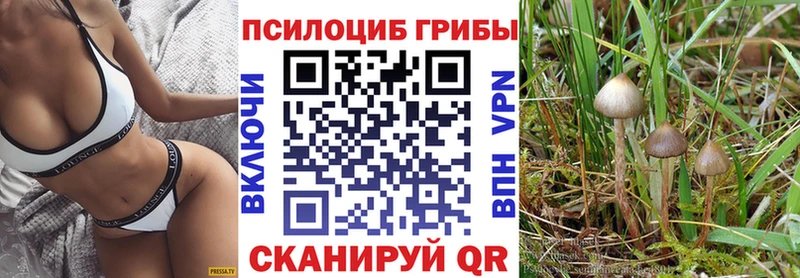 Галлюциногенные грибы GOLDEN TEACHER  ОМГ ОМГ ссылки  Болхов  сколько стоит 