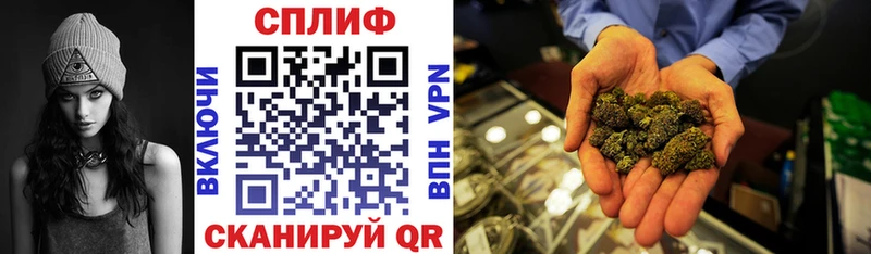 Бошки Шишки тримм Болхов